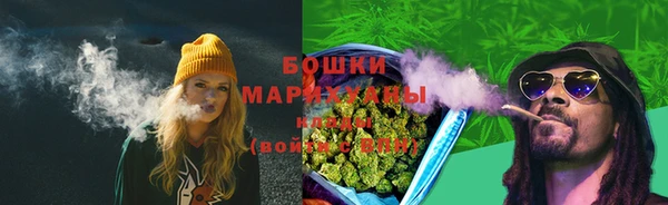 стафф Сясьстрой