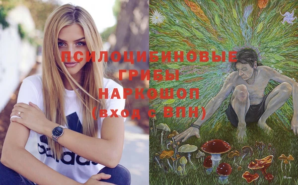 apvp Богданович